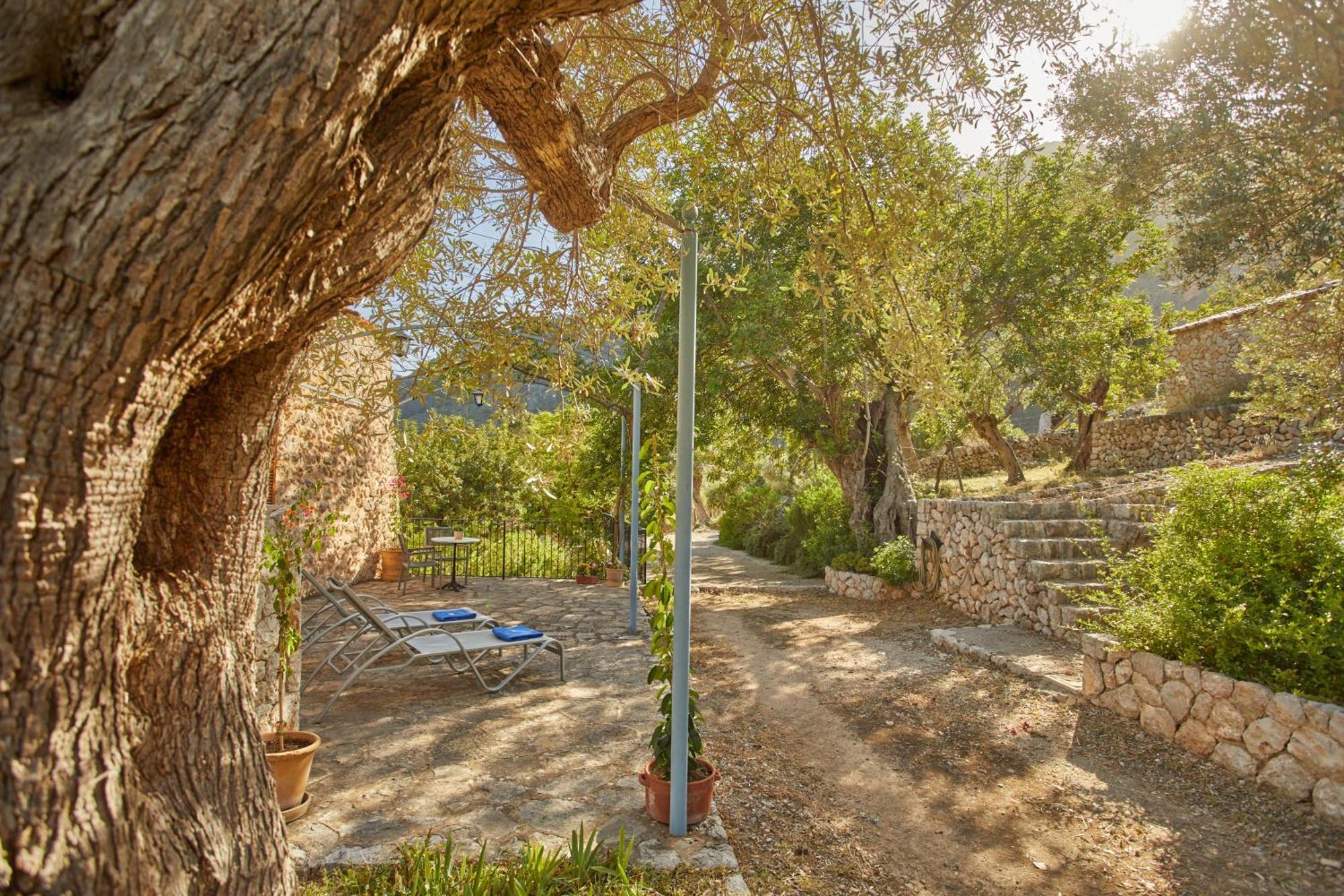 Bauernhof Alqueria Blanca